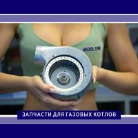 Вентилятор FIME 65w VGR 0042711 (для Luna 240) Вентилятор FIME 65w VGR 0042711 (для Luna 240)